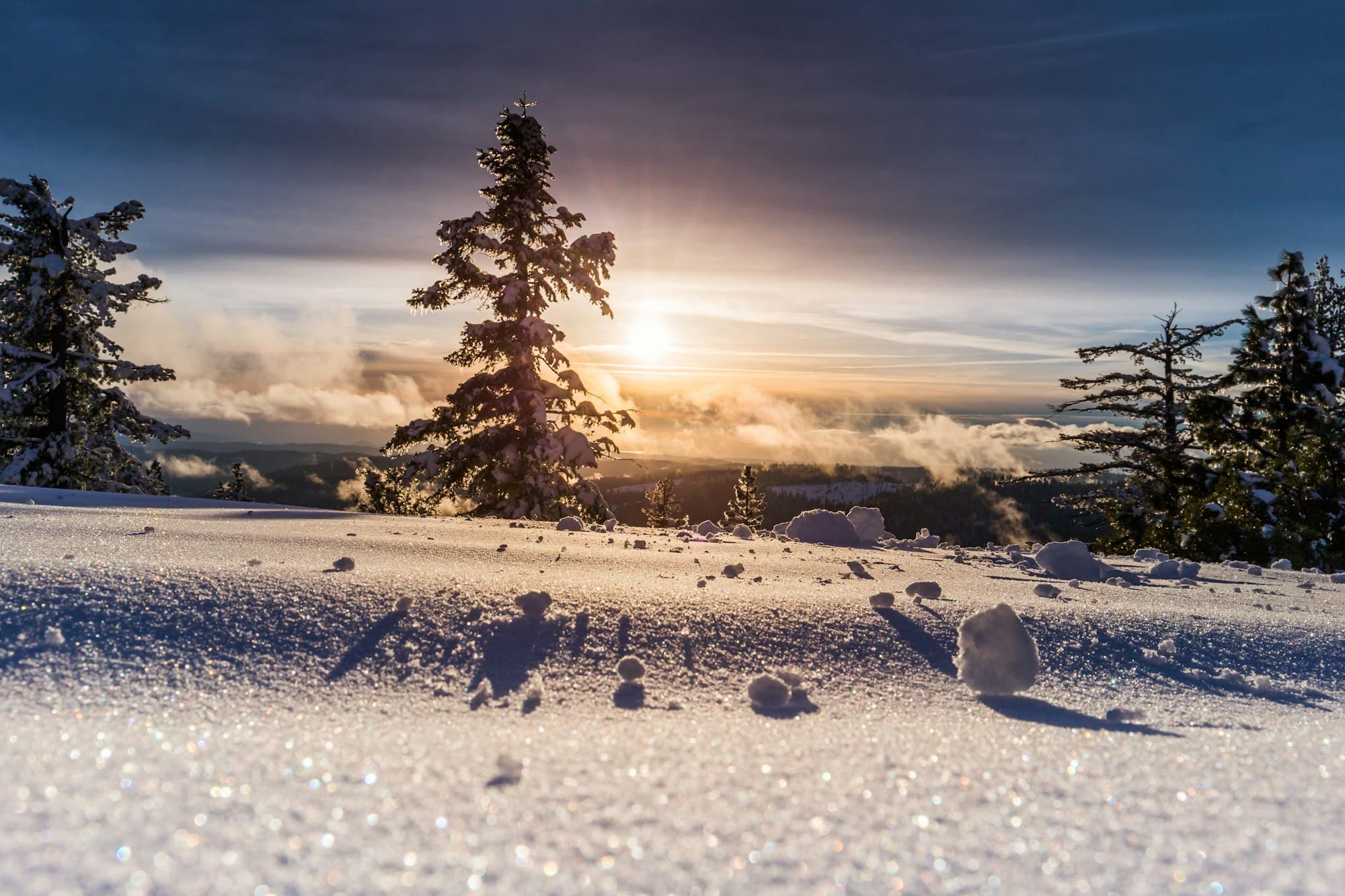 Winter am See